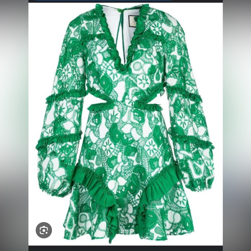 ISO: ALEXIS Imetta Lace Cutout Mini Dress in Green